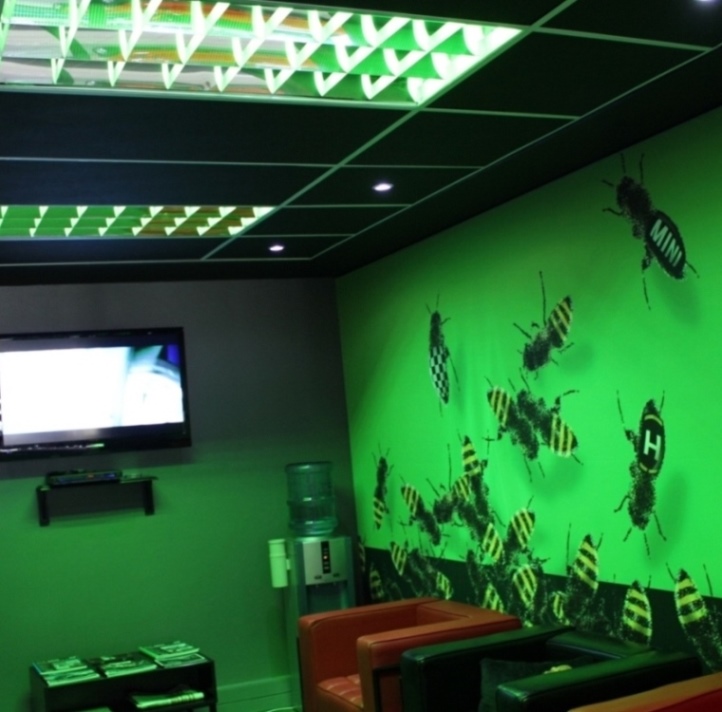 Mini Cooper LED lights
